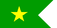 Flaga głównodowodzącego floty irlandzkiej